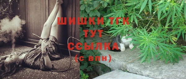 2c-b Осташков