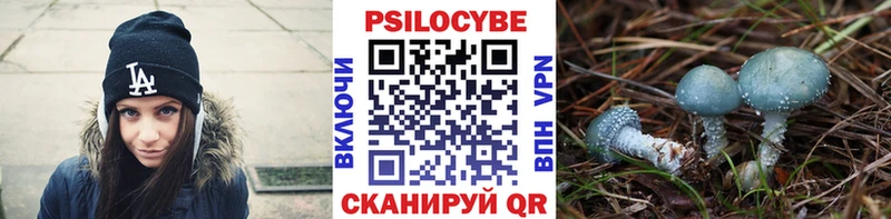 где купить наркоту  Чебаркуль  Псилоцибиновые грибы Cubensis 
